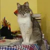 Отзыв от Оксана Никифорова